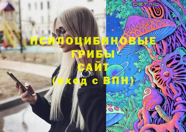 молекула духа Коряжма