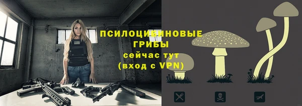 героин Кукмор