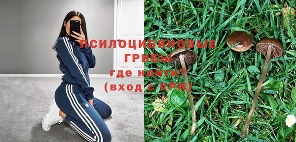 героин Кукмор