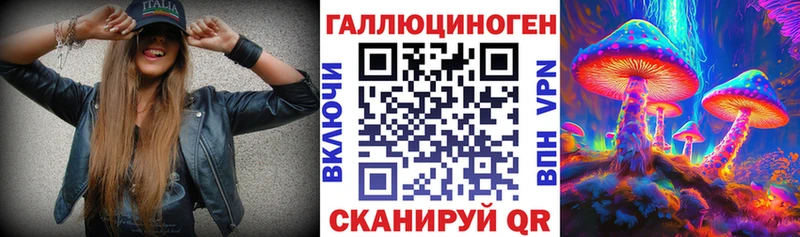 Псилоцибиновые грибы Psilocybe  купить наркотик  Касимов 