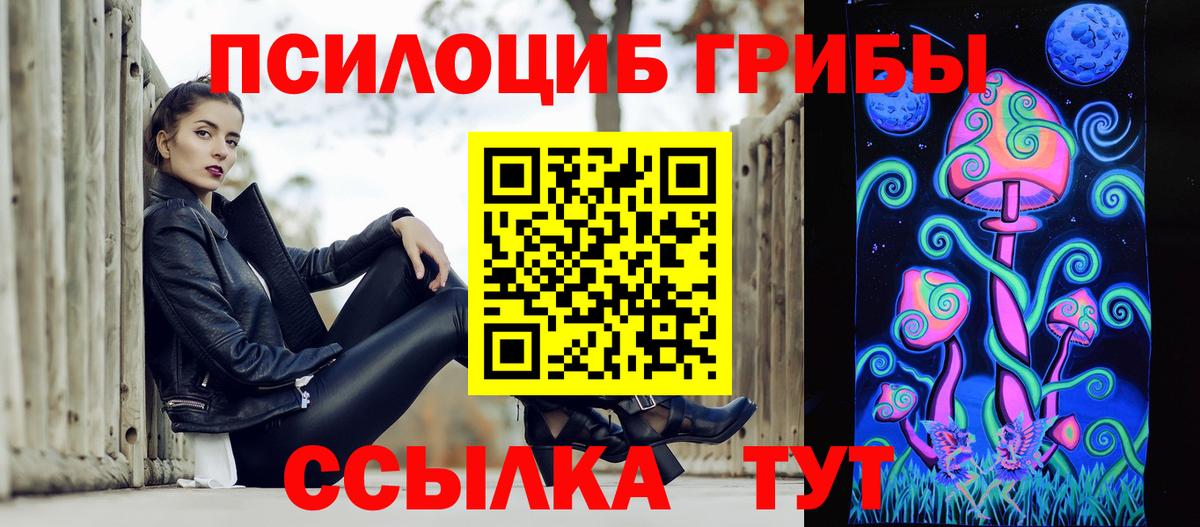 Касимов  Псилоцибиновые грибы Psilocybine cubensis  Вход с VPN  Галлюциногенные грибы ЛСД 