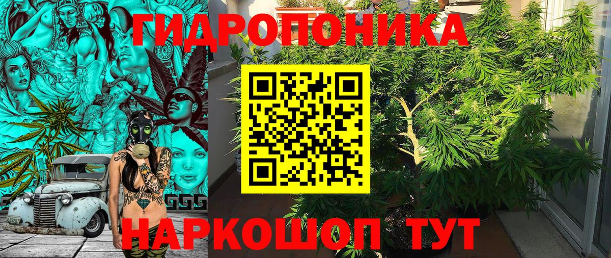 МАРИХУАНА план  Вход с VPN  Касимов  МАРИХУАНА Bruce Banner  Каннабис планчик  Конопля LSD WEED 